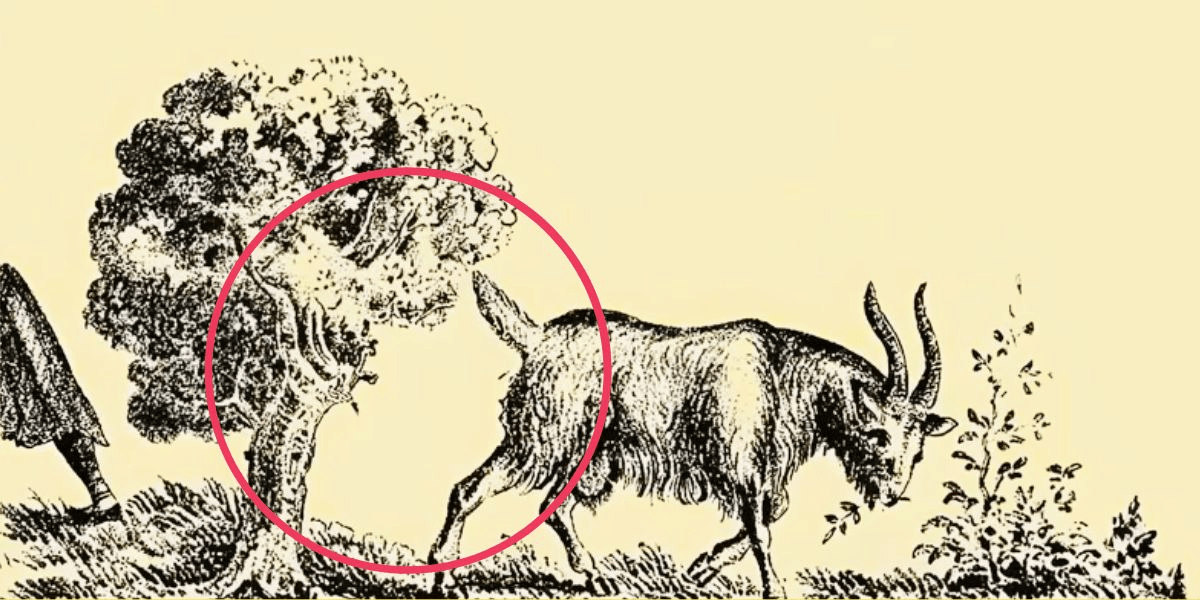 Beat the clock: can you find the goat's owner hidden in this tricky optical illusion in just 3 seconds? Test your visual skills and boost your brain power!