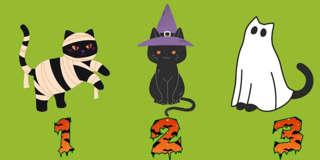 Unmasking your type of intelligence: pick one of three black cats to reveal hidden truths!