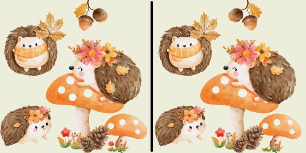 Spot the difference challenge: can your eyes catch the subtle changes in this cozy autumn hedgehog tableau? Find 5 discrepancies in under 9 seconds!