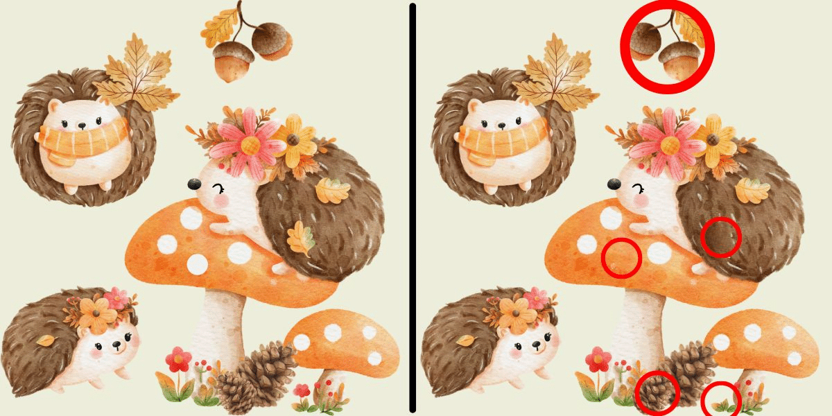 Spot the difference challenge: can your eyes catch the subtle changes in this cozy autumn hedgehog tableau? Find 5 discrepancies in under 9 seconds!