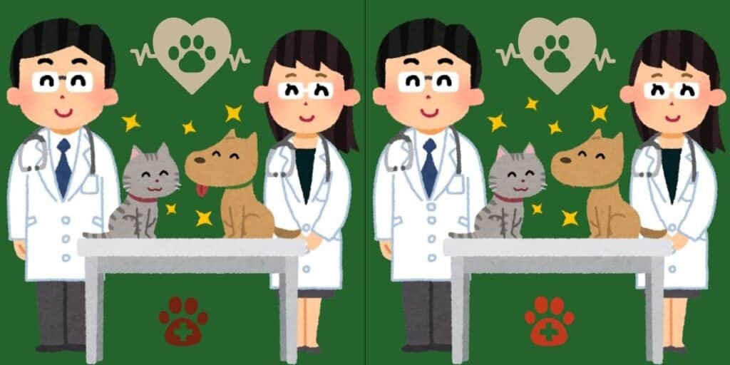 Spot the difference challenge: vet clinic conundrum! Find the 6 sneaky changes in under 11 seconds - are your eyes up to the test?