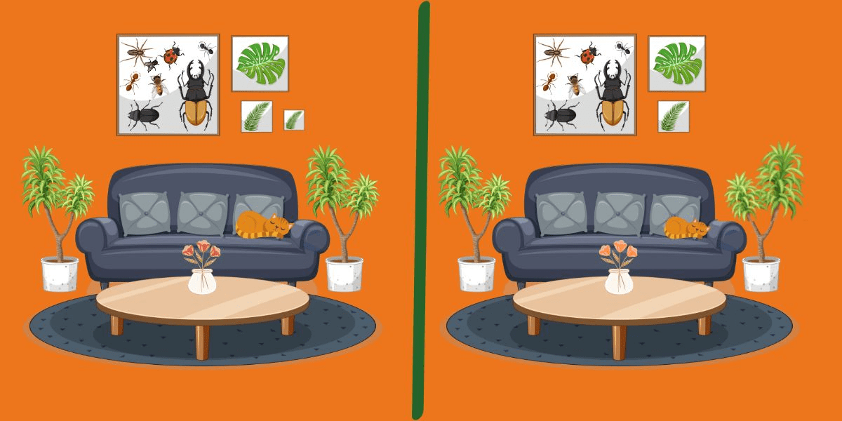 Spot the difference challenge: find the 5 subtle changes in these cozy living room scenes in under 12 seconds! Are your eyes quick enough?