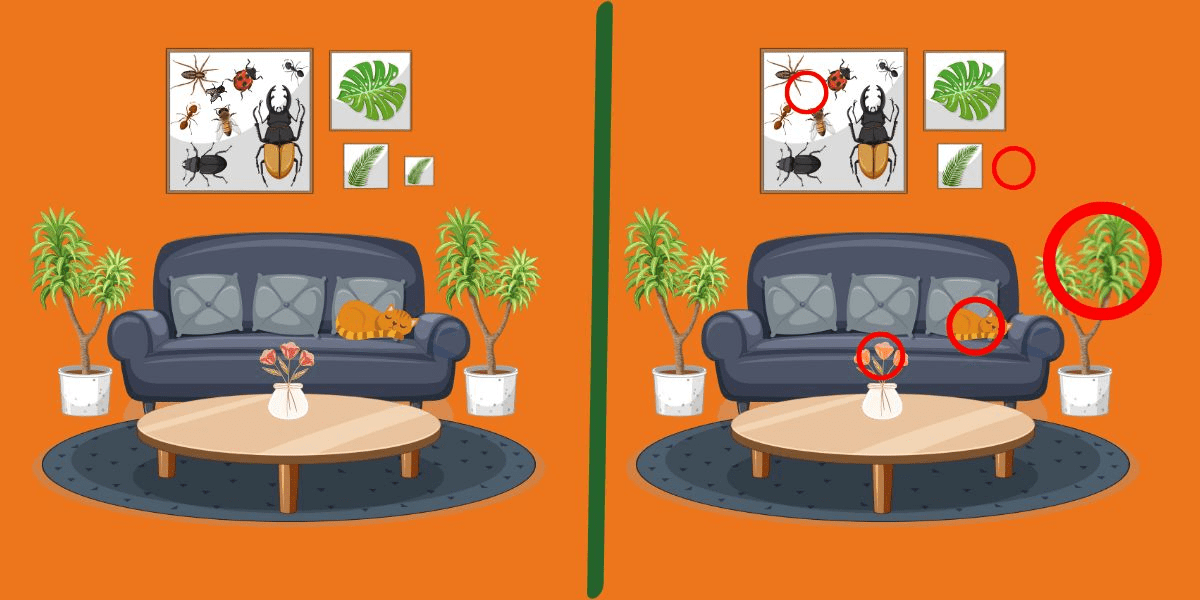 Spot the difference challenge: find the 5 subtle changes in these cozy living room scenes in under 12 seconds! Are your eyes quick enough?