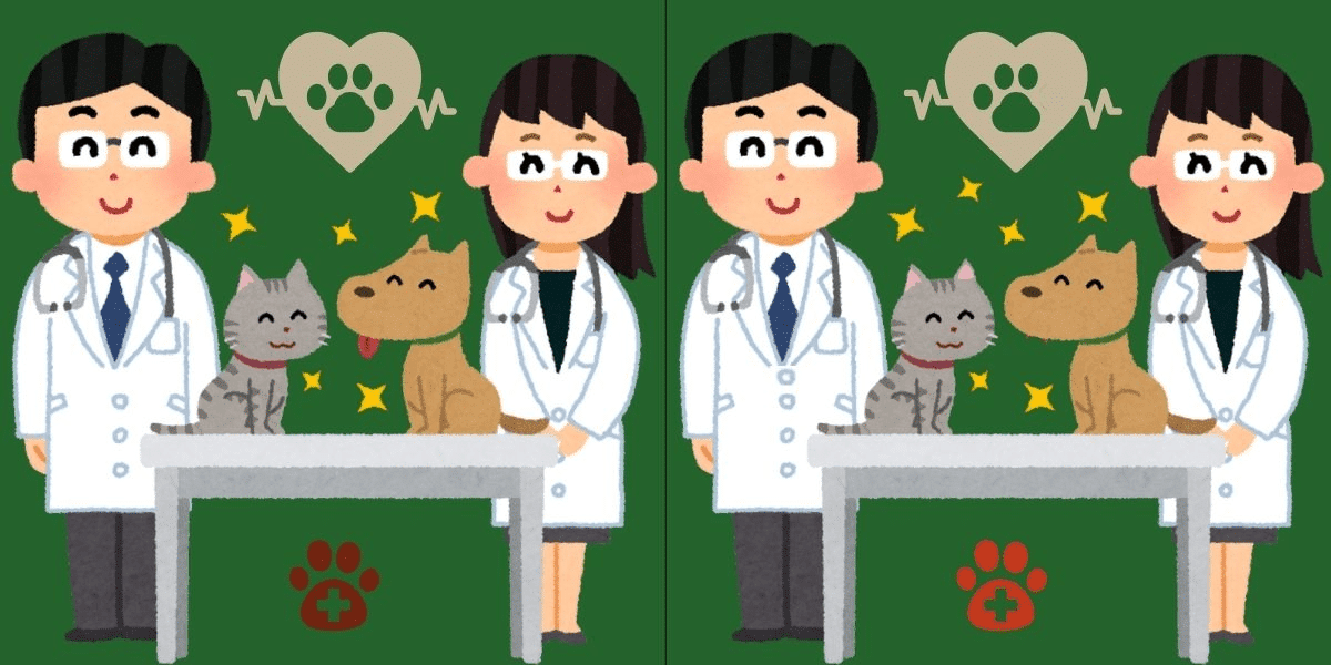 Spot the difference challenge: vet clinic conundrum! Find the 6 sneaky changes in under 11 seconds - are your eyes up to the test?